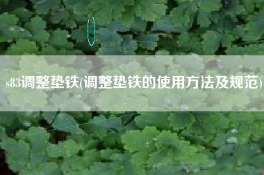 s83<a href='http://www.ykszwfw.cn/jichuangdiantiexilie/' target='_blank' title='調整墊鐵' ><strong>調整墊鐵</strong></a>(調整墊鐵的使用方法及規(guī)范)
